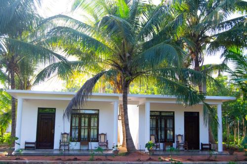 Shady mango villa Sigiriya