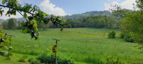 Exterior view, Appartement Entre Lacs Et Montagnes in Habere-Lullin