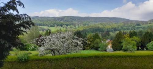 Exterior view, Appartement Entre Lacs Et Montagnes in Habere-Lullin