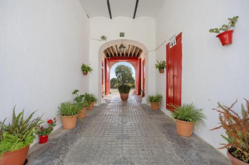 A szálláshely kívülről, Cortijo Rural La Mariscala in Mesas de Asta