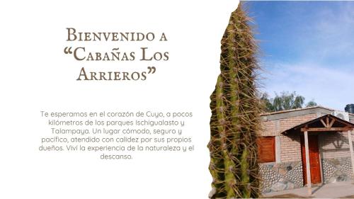 Cabañas Los Arrieros (Cabanas Los Arrieros) in Usno