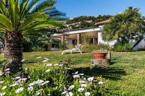 Villa Palme