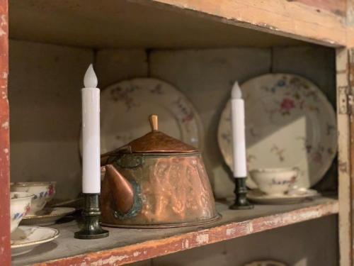 Pine Hill - image 11