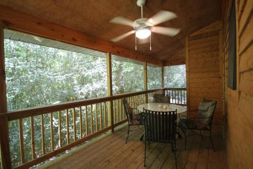 White Squirrel`s Nest in Rosman, USA