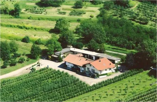 Weingut Ringwald in Herbolzheim, Deutschland