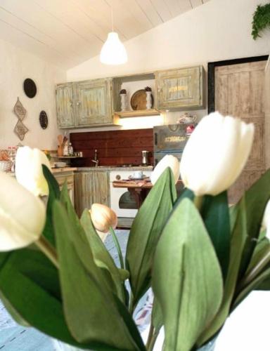 The Cottage by the lake 1 in San Maurizio D'Opaglio