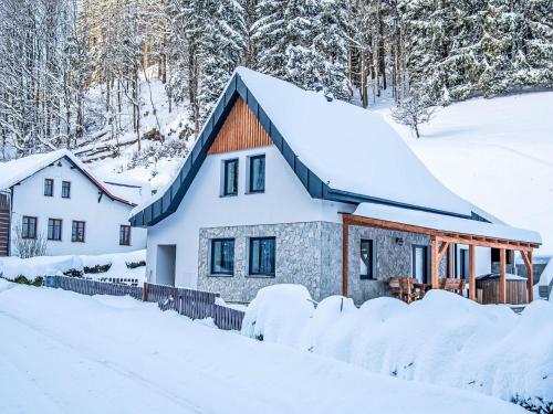 Viesnīcas āriene, Holiday Home Vilém by Interhome (Holiday Home Vilem by Interhome) in Dolni Dvur
