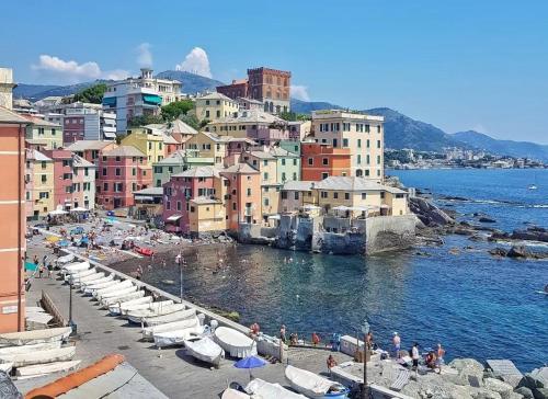 Il ciliegio di Miki, Genua