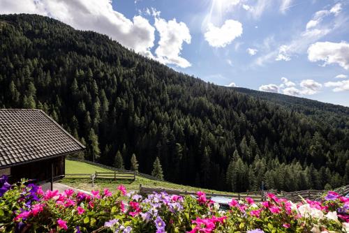 Apt Talblick Hinterproslhof