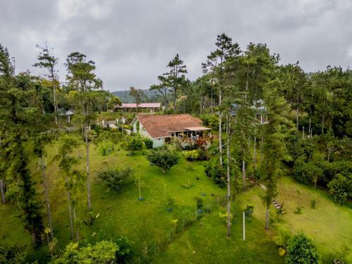 Casa Selva Escondida – khách sạn tại Cerro Azul