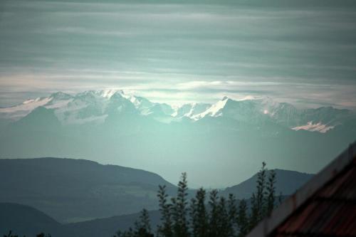 外部景觀, Haus Jehle in 弗賴堡