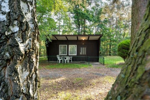 Bungalow 13 - Kimbucht in Reichendorf, Deutschland