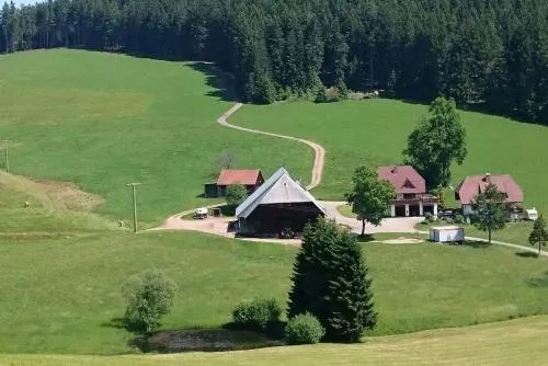 Oberengenbachhof in Eisenbach Hochschwarzwald, Deutschland