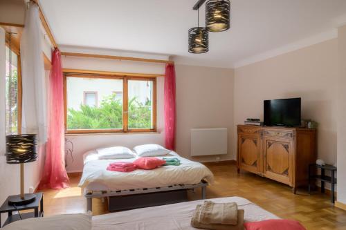 Viesnīcas āriene, Gîte De Pipala (Gite De Pipala) in Mitlaša