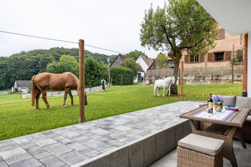 Viesnīcas āriene, Brunnerhof Urlaub auf dem Land in Hartenstein (Nurnberger Land)