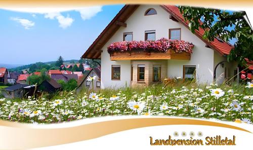 Viesnīcas āriene, Pension Stilletal - Springstille in Viernau