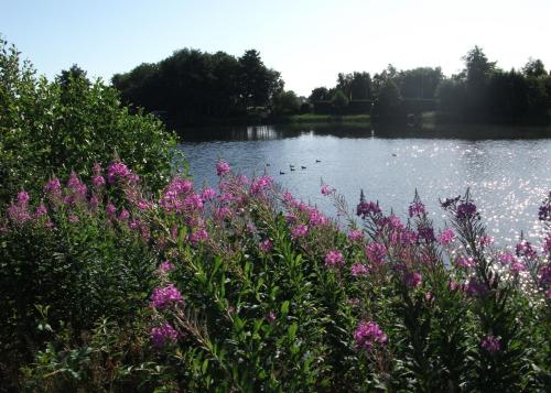 Pohled zvenku, Mediterranes Flair mit Seeblick in Nenndorf