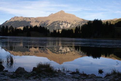 Hotel Wildhorn - image 6