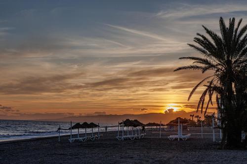 Casa Nutt by the Sea - image 3