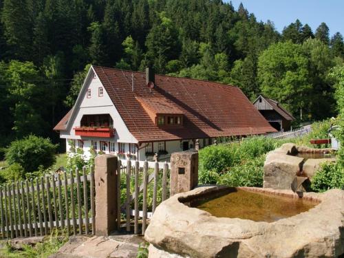 Appartement Im Hof, 36qm - Oberwolfach
