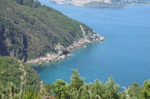 Rio nell'Elba: Villetta Natura Casa A (5 locali) - image 16