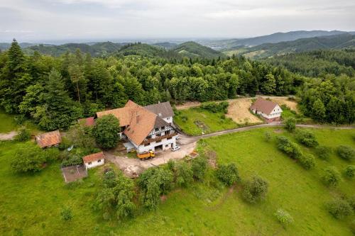 Grüner Ausblick in Oberkirch, Deutschland