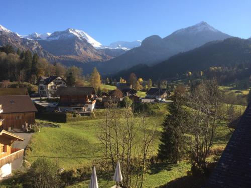Hotel Wildhorn - image 11