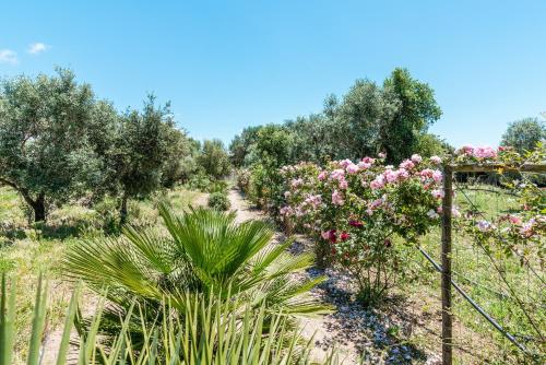 Casa La Castañuela - image 4