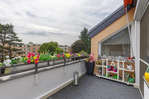 Ruhige Wohnung Berlin-Steglitz - image 9