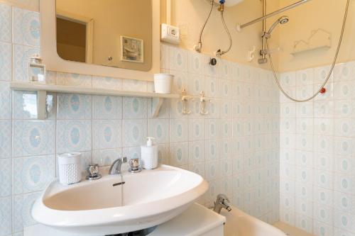  Sassi Scritti - Acero Montano in Montefegatesi