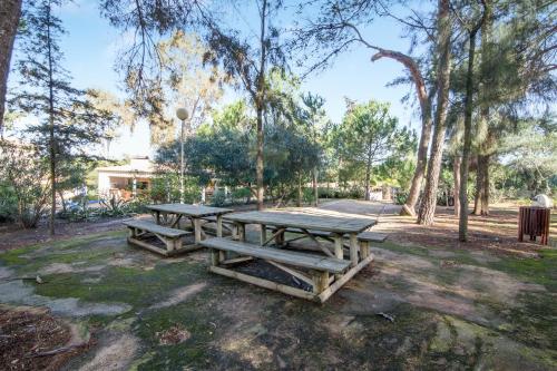 Bosque São José Ag - image 2