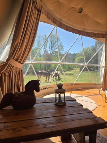 Viesnīcas āriene, La Cabane aux Chevaux in Varages