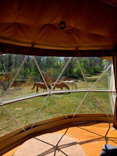 Viesnīcas āriene, La Cabane aux Chevaux in Varages