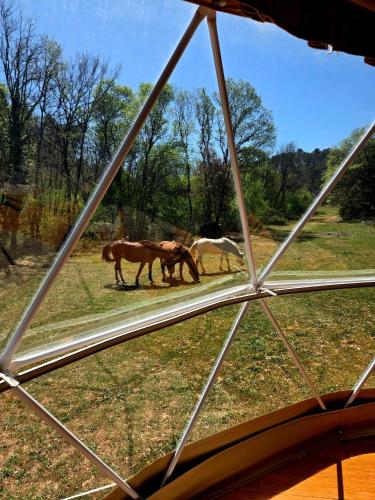 Viesnīcas āriene, La Cabane aux Chevaux in Varages