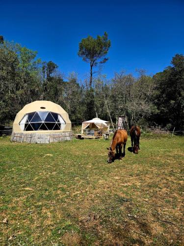 Viesnīcas āriene, La Cabane aux Chevaux in Varages