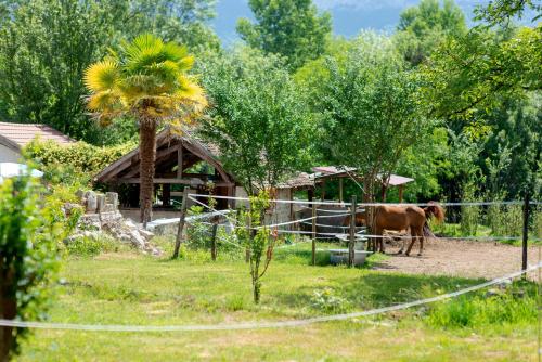 Viesnīcas āriene, Gîte de l'éléphant (Gite de l'elephant) in Champagneux ciems