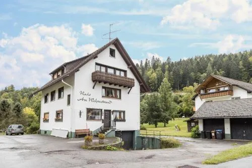 Am Wehrastrand App 5 in Todtmoos, Deutschland