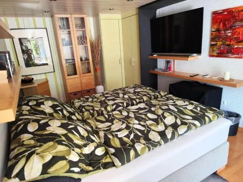 Apartment Gabriele in Sinsheim, Deutschland