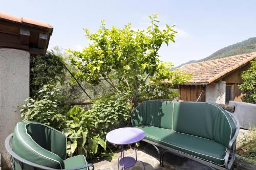  Green Cactus House in La Spezia