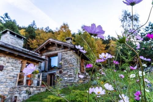  Chalet Panorama Res Albert in San Guglielmo