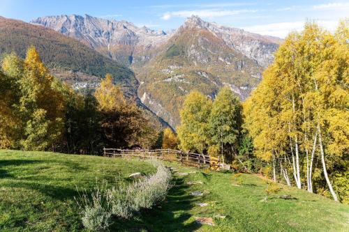 Viesnīcas āriene, Chalet Panorama Res Albert in San Giacomo Filippo
