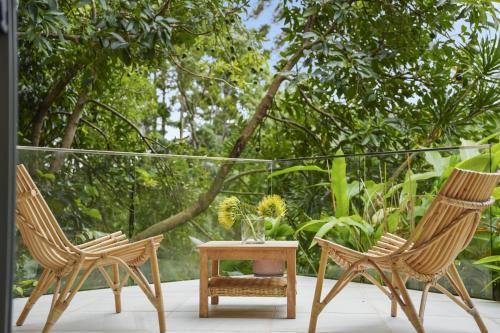 Secluded rainforest getaway - Carool