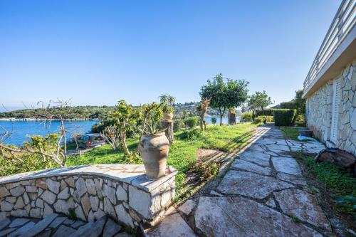 Dolphin studio, Gaios (fotografie 9)