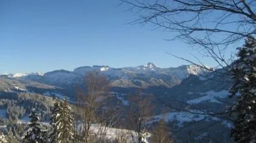 Two-Bedroom Deluxe Apartment with Garden View