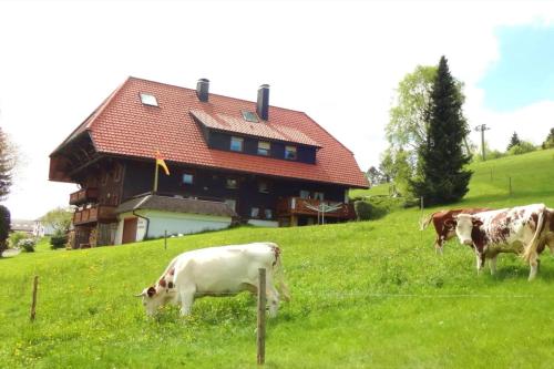 Haus Winterberg in Schonach, Deutschland