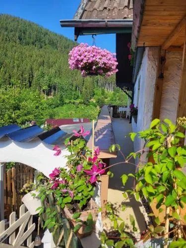 Ferienwohnung Schwarzwaldglück in Baiersbronn, Deutschland