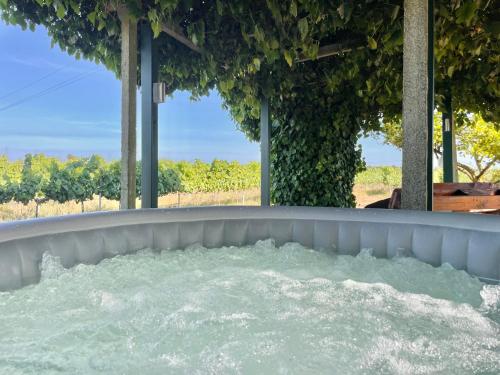Casa Trincadeira gîte à louer Vale da Vendinha