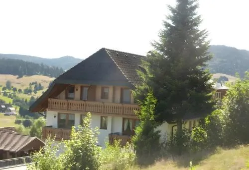 Hochtalblick - Rechberg - Farnberg in Bernau im Schwarzwald, Deutschland