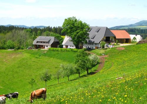 Brosihof - Breitnau