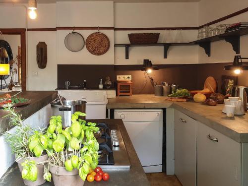 kuhinja, Charming Garden Holiday Home for 6 in Weris